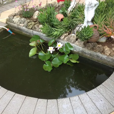 In Mit Grill- Garten Und Terrasse By Interhome アパート